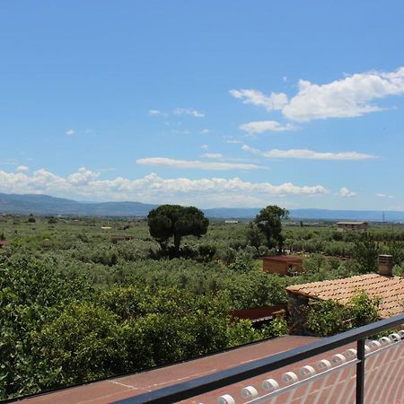 B&B La Vigna Lamezia Terme Zewnętrze zdjęcie