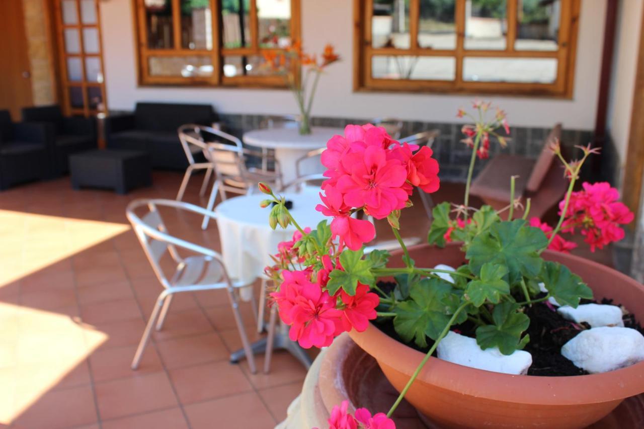 B&B La Vigna Lamezia Terme Zewnętrze zdjęcie