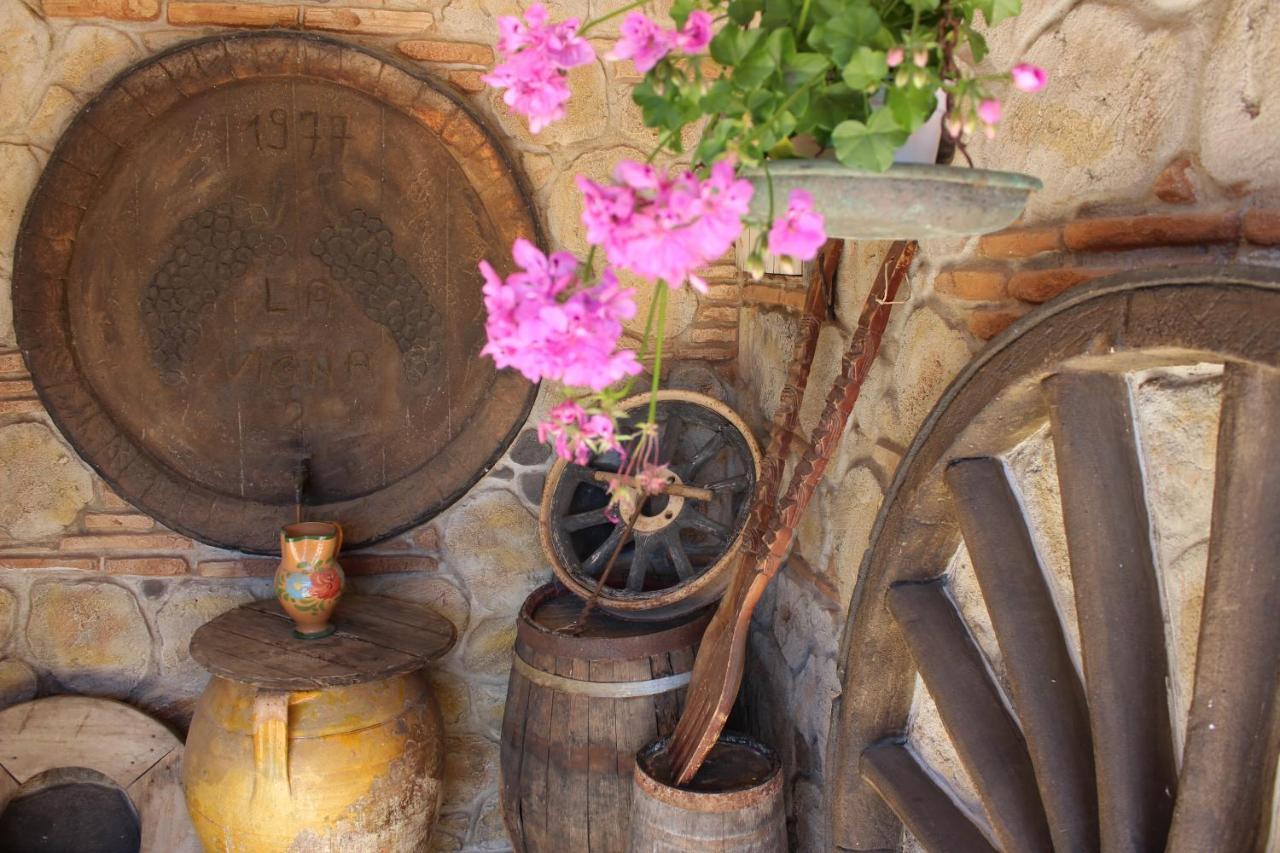 B&B La Vigna Lamezia Terme Zewnętrze zdjęcie