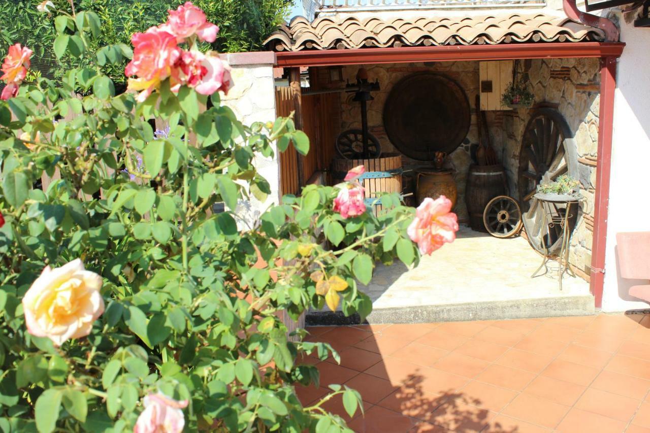 B&B La Vigna Lamezia Terme Zewnętrze zdjęcie
