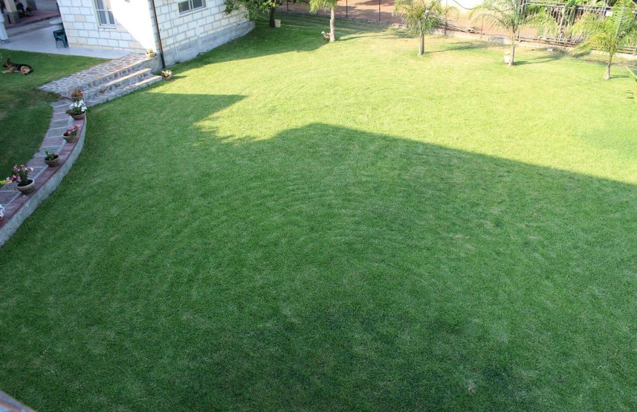 B&B La Vigna Lamezia Terme Zewnętrze zdjęcie