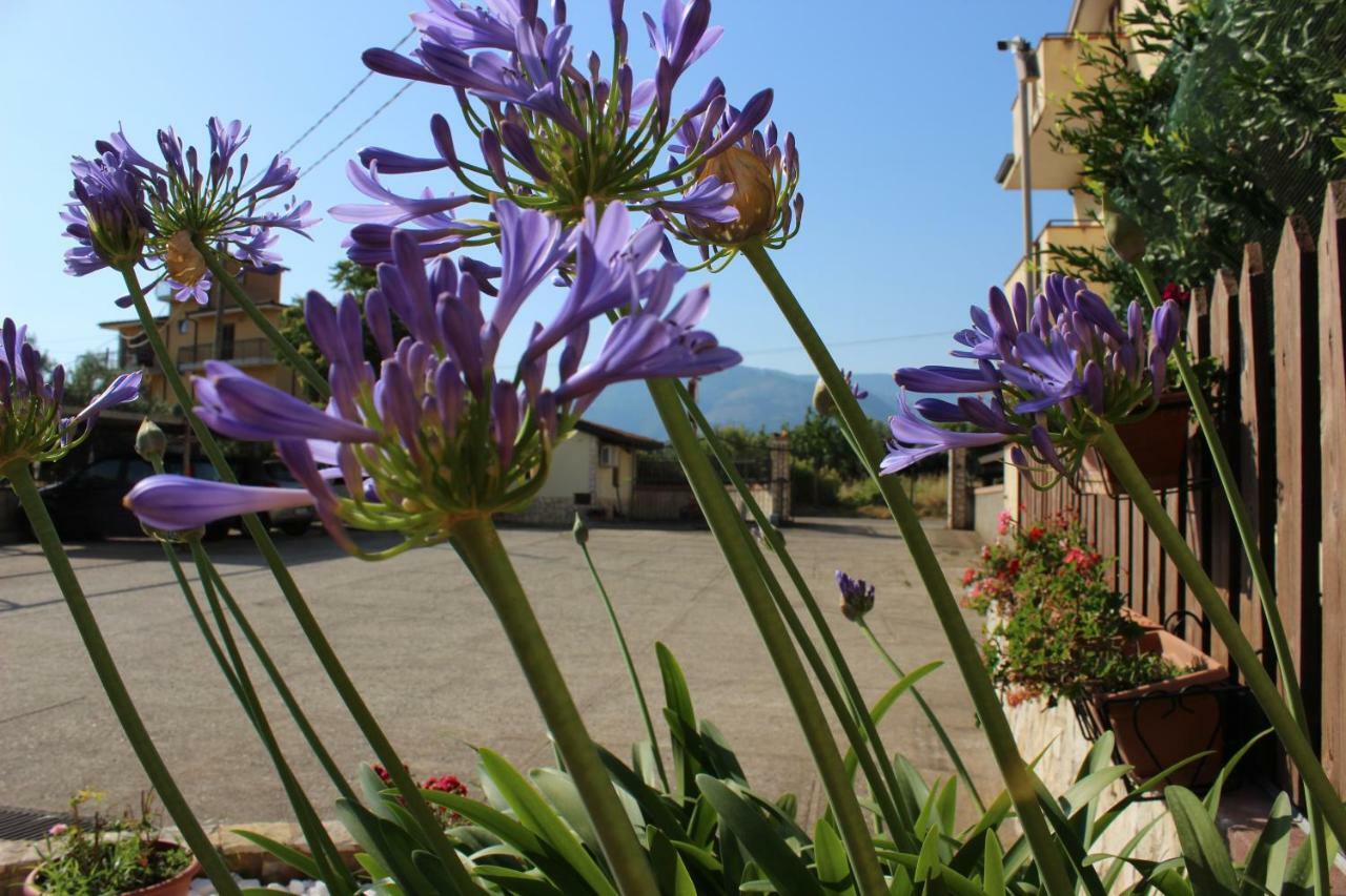 B&B La Vigna Lamezia Terme Zewnętrze zdjęcie